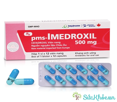 Thuốc pms-Imedroxil 500 điều trị nhiễm trùng đường hô hấp