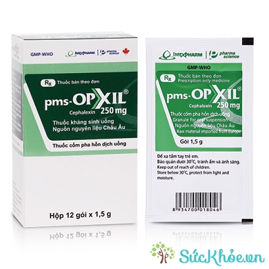 Thuốc pms-Opxil 250 (Bột) điều trị nhiễm khuẩn do các vi khuẩn nhạy cảm