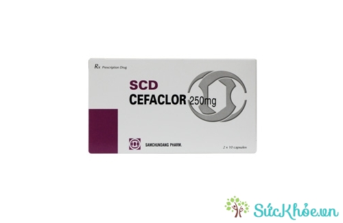 SCD Cefaclor 250 mg và một số thông tin về thuốc