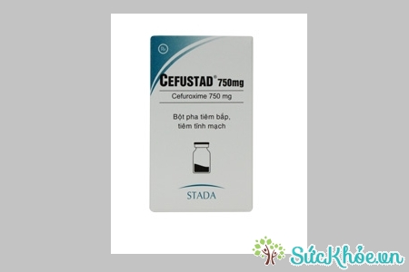 Cefustad 750mg là thuốc được chỉ định cho trường hợp nhiễm khuẩn đường hô hấp