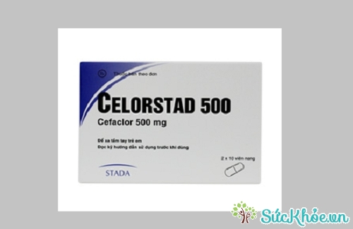 Celorstad 500mg và một số thông tin cơ bản