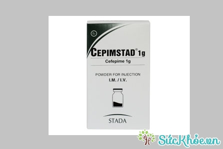 Cepimstad 1g được sử dụng điều trị nhiễm khuẩn vừa và nặng