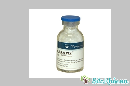 Ceraapix có tác dụng điều trị nhiễm khuẩn đường hô hấp hiệu quả