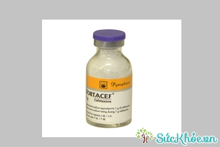 Fortaacef là thuốc chỉ định trong trường hợp nhiễm trùng đường hô hấp