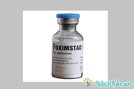 Foximstad 1g và một số thông tin cơ bản