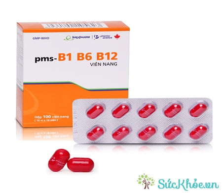 pms-B1B6B12 giúp điều trị và dự phòng tình trạng thiếu vitamin