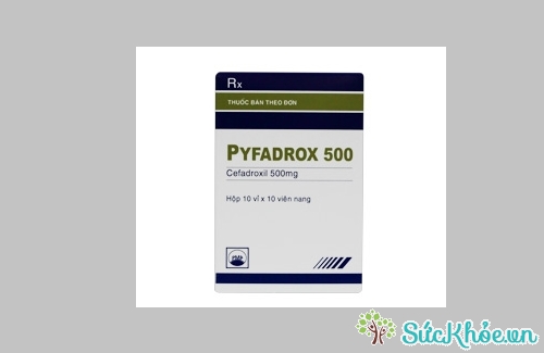 Pyfadrox 500mg và một số thông itn cơ bản