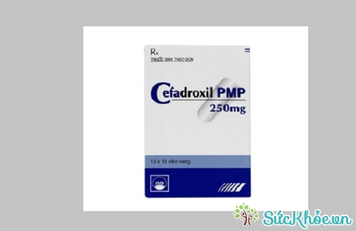 Cefadroxil 250mg và một số thông tin cơ bản