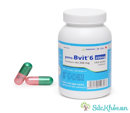 Thuốc pms-Bvit 6 250 dự phòng và điều trị thiếu vitamin B6