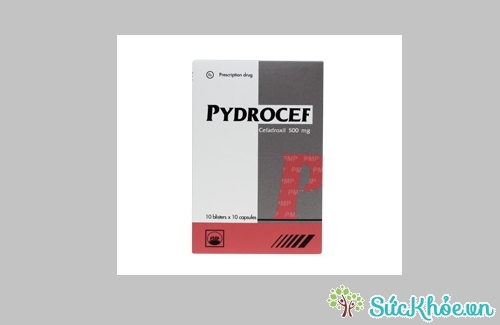Pydrocef 500 và một số thông tin cơ bản 