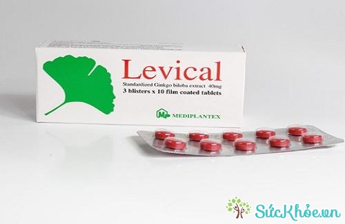 Levical và một số thông tin cơ bản