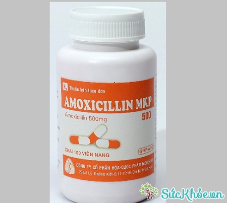 Thuốc Amoxicillin MKP 500 điều trị nhiễm khuẩn do vi khuẩn nhạy cảm