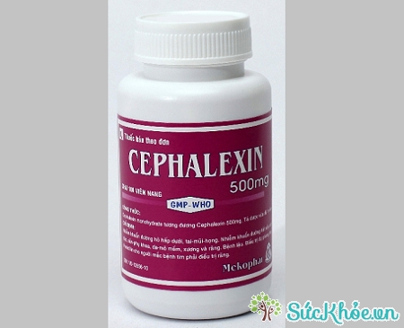 Thuốc Cephalexin 500mg điều trị các trường hợp nhiễm khuẩn do vi khuẩn