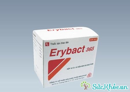Thuốc Erybact 365 điều trị các trường hợp nhiễm khuẩn