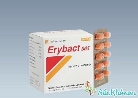 Thuốc Erybact 365 điều trị hiệu quả các trường hợp nhiễm khuẩn