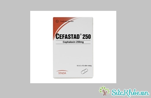 Cefastad 250 và một số thông tin cơ bản