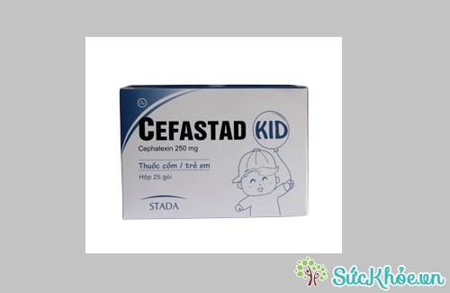 Cefastad kid và một số thông tin cơ bản