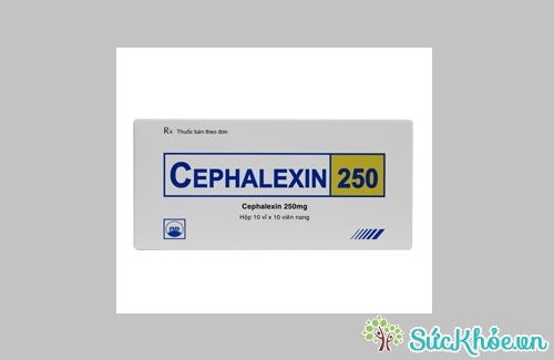 Cephalexin 250 PMP và một số thông tin cơ bản