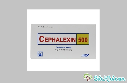 Thông tin về thuốc Cephalexin 500 PMP