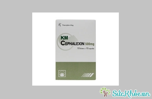 Thông tin về thuốc KM Cephalexin 500mg 