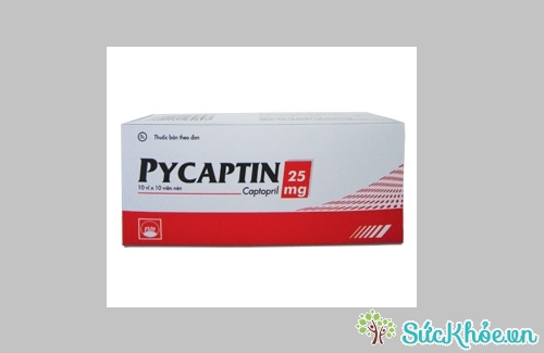 Một số thông tin về Pycaptin