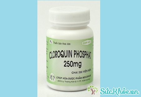 Thuốc Cloroquin Phosphat 250mg phòng ngừa, điều trị sốt rét cấp tính do P.malariae