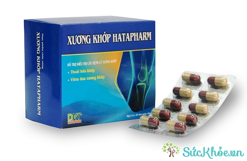 Xương khớp Hatapharm và một số thông tin cơ bản