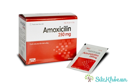 Amoxicilin 250mg và một số thông tin cơ bản