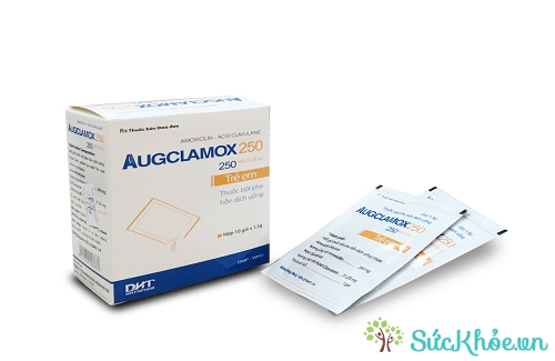 Augclamox 250 và một số thông tin cơ bản