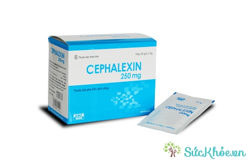 Cephalexin 250mg và một số thông tin cơ bản