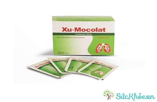 Xumocolat và một số thông tin cơ bản