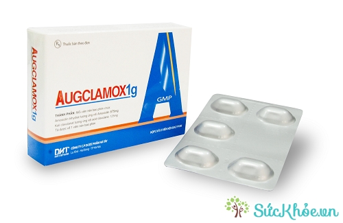 Augclamox 1g và một số thông tin cơ bản