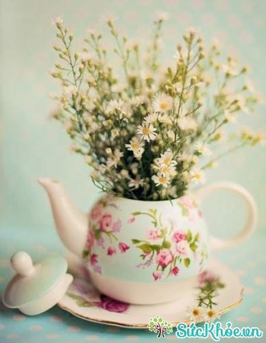 Những ấm trà cũ có thể biến thành những chiếc lọ cắm hoa xinh xắn, độc đáo