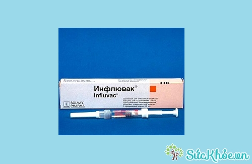 Influvac là thuốc phòng ngừa cúm, rối loạn mạn tính hệ hô hấp