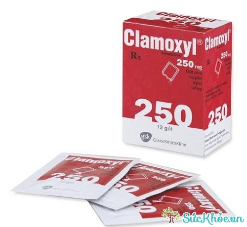 Clamoxyl và một số thông tin cơ bản