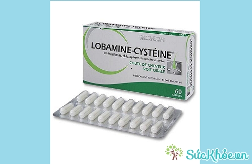 Lobamine-Cysteine là thuốc điều trị hỗ trợ bệnh rụng tóc do da dầu nhiều chất nhờn