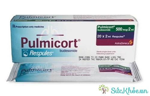 Pulmicort Respules và một số thông tin cơ bản
