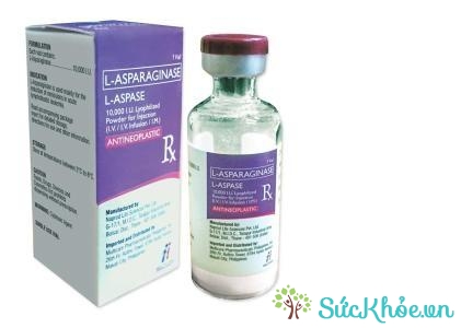 Asparaginase (thuốc tiêm)