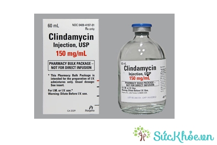 Clindamycin (thuốc tiêm)