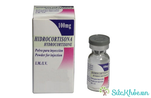Hydrocortisone (thuốc uống) và một số thông tin thuốc cơ bản nên biết