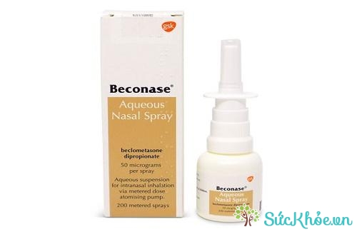 Beclomethasone (Thuốc hít đường mũi) và một số thông tin thuốc cơ bản