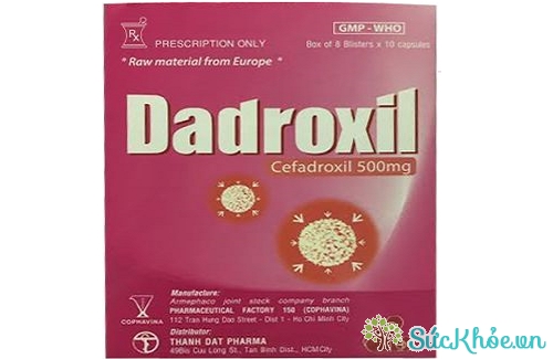Dadroxil (thuốc bột mùi dâu) và một số thông tin thuốc cơ bản