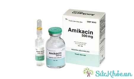 Amikacin 500mg (thuốc bột pha dung dịch tiêm)