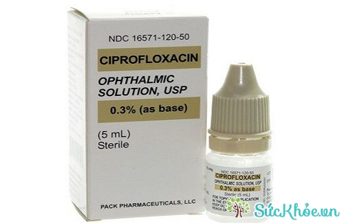 Ciprofloxacin (thuốc nhãn khoa) và một số thông tin thuốc cơ bản nên biết