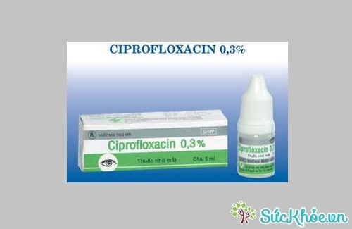 Ciprofloxacin 0.3% (thuốc nhỏ mắt - công ty Dược phẩm 3/2) thông tin thuốc