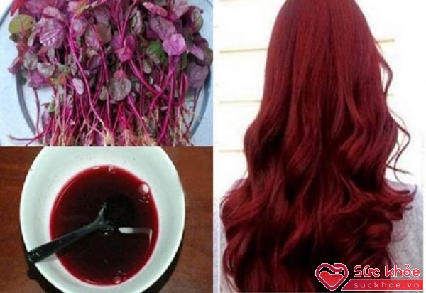 Chính màu đỏ tự nhiên của rau dền lại là một nguyên liệu quý giúp hô biến mái tóc đen thành tóc nâu đỏ siêu đẹp