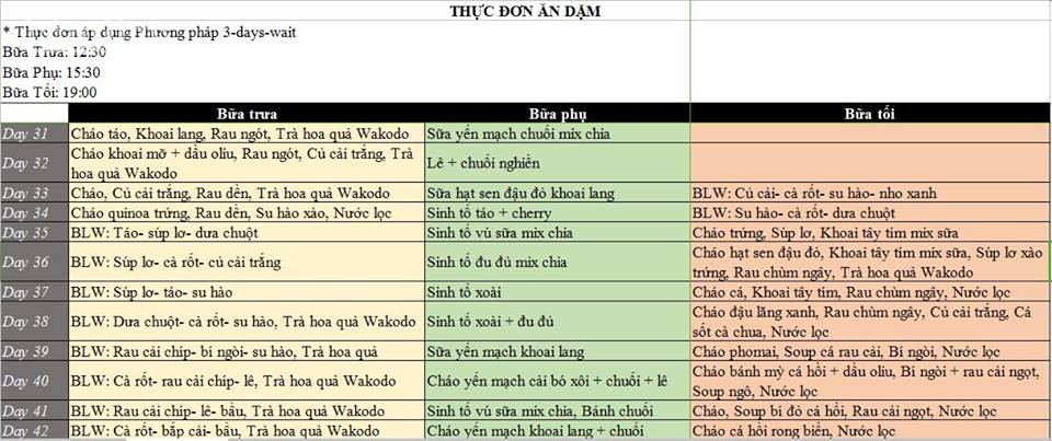 Những thực đơn ăn dặm cho bé được ghi chép chi tiết.