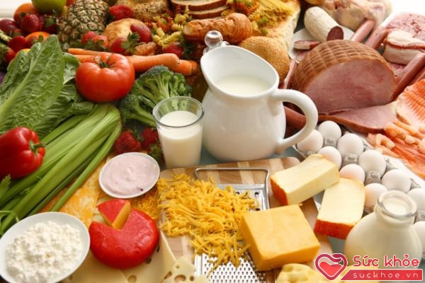 Những thực phẩm rất giàu protein và canxi, cần bổ sung trong thực đơn để tránh bị loãng xương.