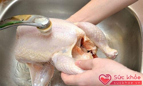 Nhiều người vẫn có thói quen rửa thịt gà sống nhưng các chuyên gia cho rằng đây là việc làm sai lầm.