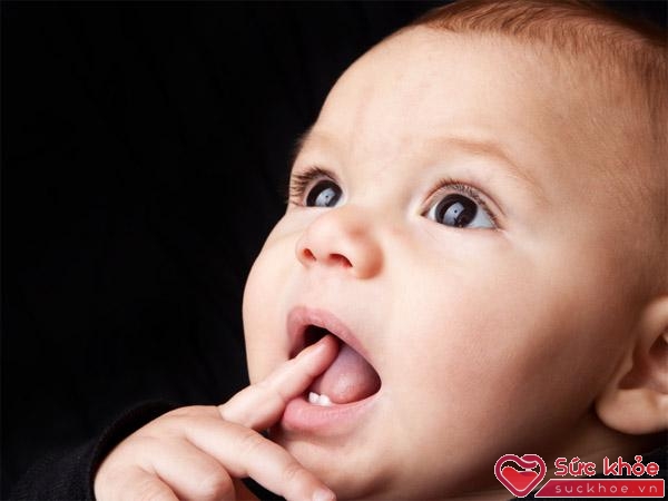 Trẻ mọc răng hàm có thể bị sốt và quấy khóc, kém ăn